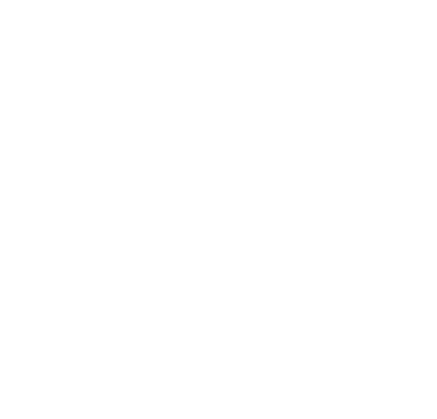 Smith Electric & Associates White Logo